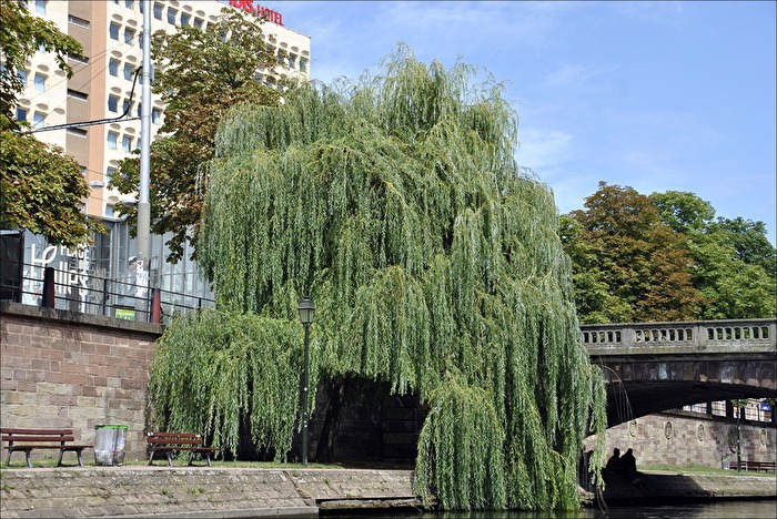 der grüne "Durchgang"