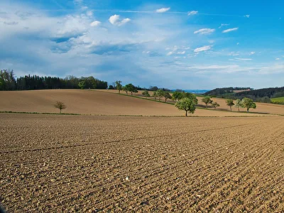 ohne Titel
