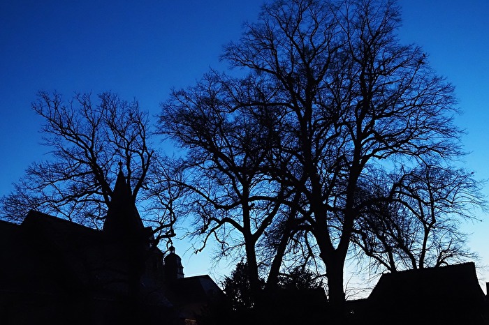 Blau