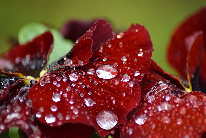 Nach langem Regen...