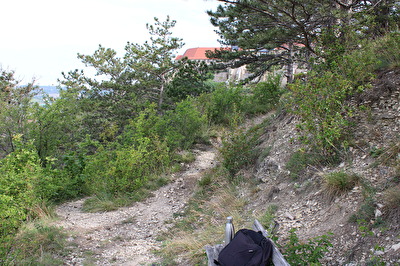 Aufstieg zum Haineberg