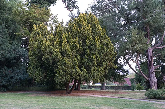 Harbke, im Harbker Park