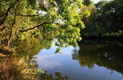 Die Saale beim Steinmeister
