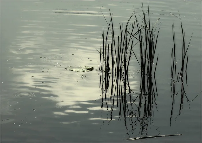 Friedlicher Weiher