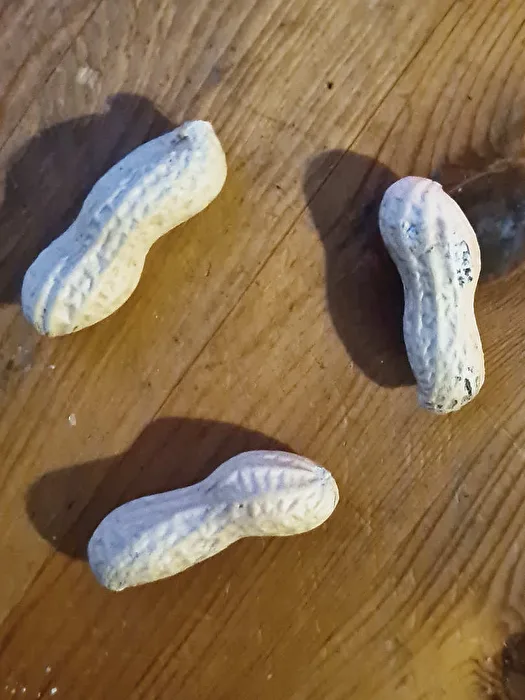 Peanuts