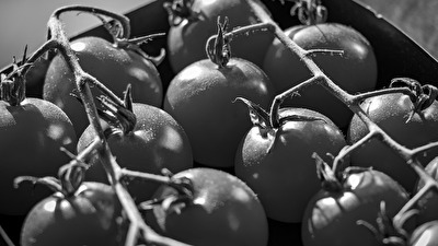 #Rot     nein, es sind keine schwarzen Tomaten