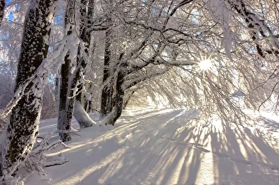 Winterlandschaft