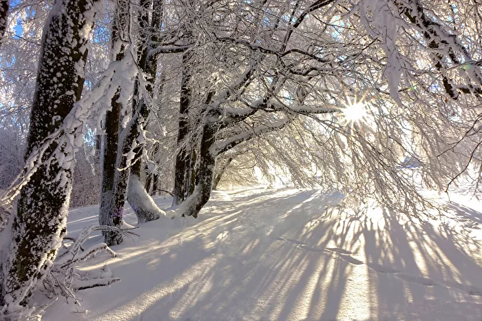 Winterlandschaft