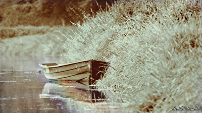 Altes verwittertes Ruderboot am Flussufer