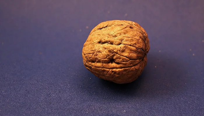 Walnut TEST - Constructive criticism welcome