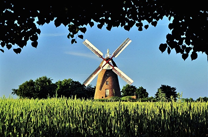 Mühle im Rheinland ( Selfkant ) I