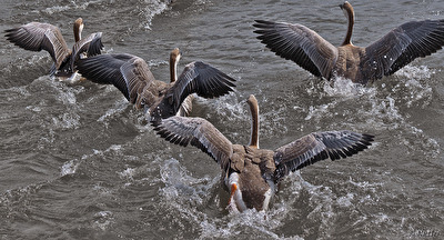 auf die Plätze fertig los....