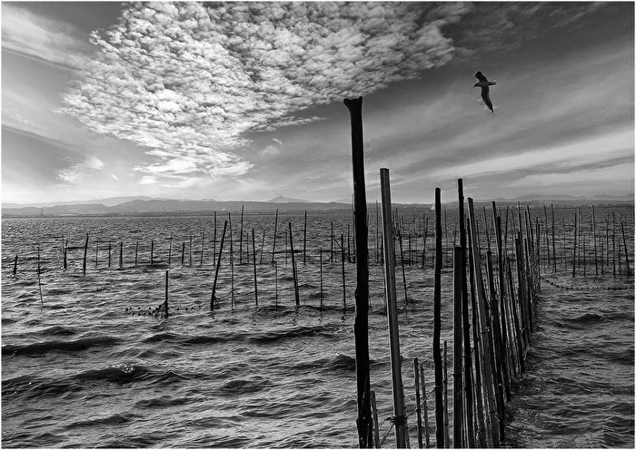 Fish farming traps