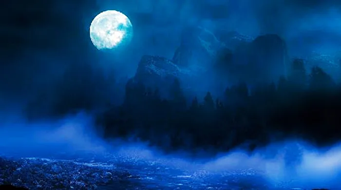 Night