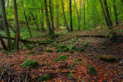 Landschaft