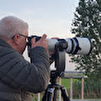 Profilfoto