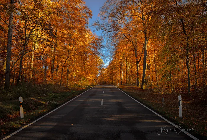 Golden Passage