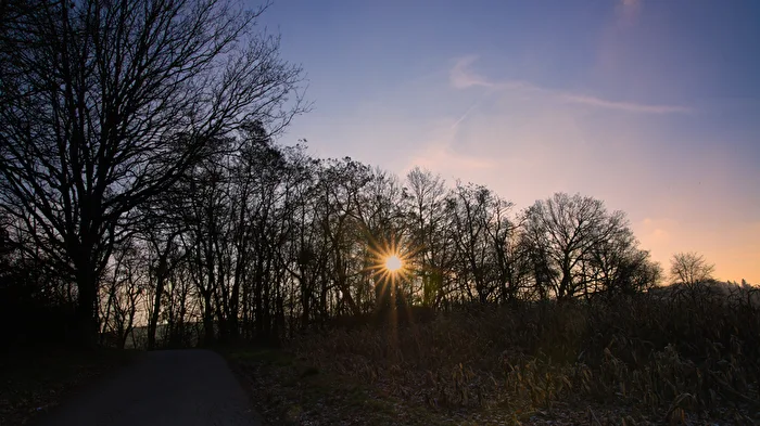 Wintersonne