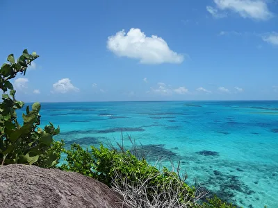 Coral Reef Providencia