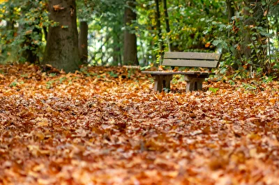 Herbst