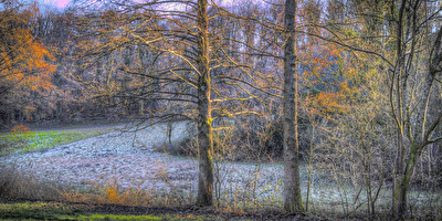 Frostmorgen