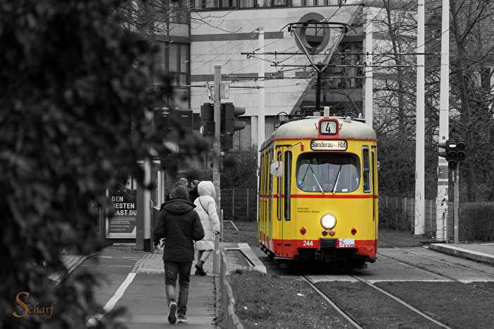Sonderfahrt straßenbahn