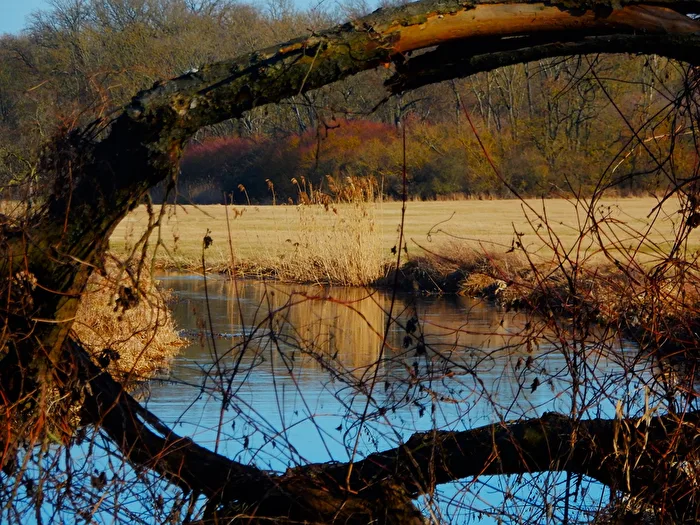 Durchblick