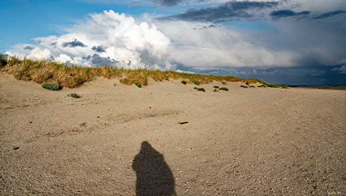 mein Schatten und ich