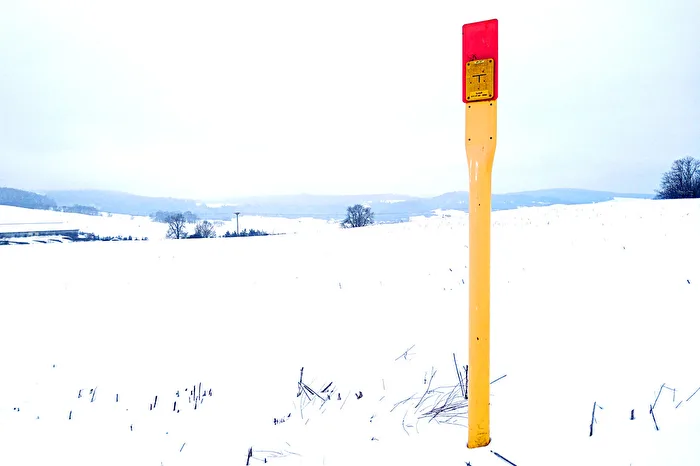 Alone in the Snow