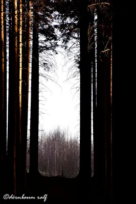 Weg ins Licht