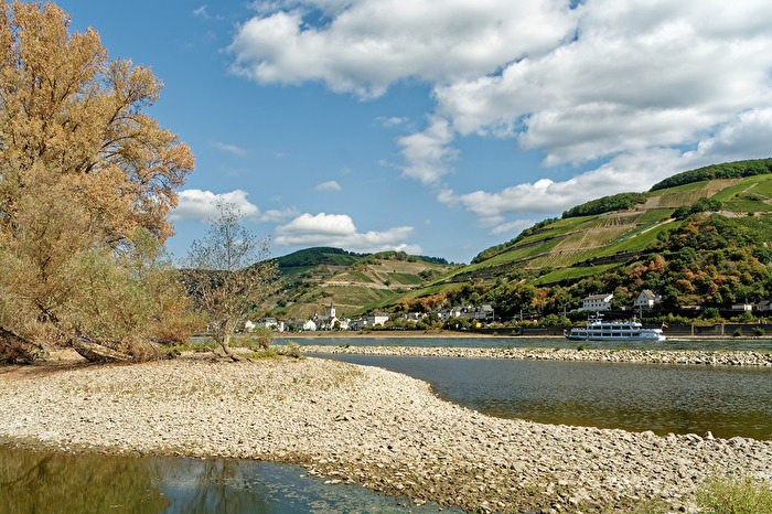 Rhein Krippen