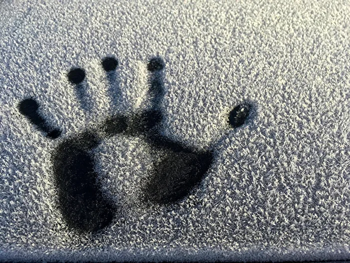 Frostig (e) Überraschung heute morgen zum Winteranfang , es war Eiskalt!