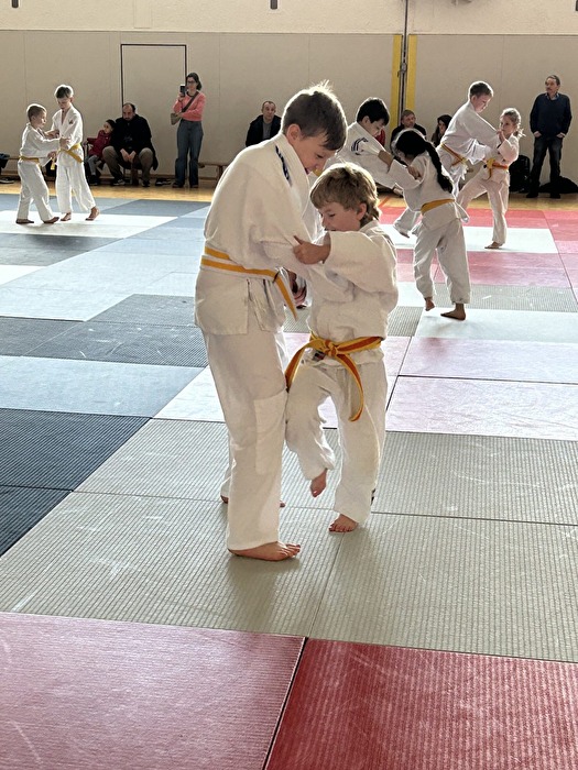 Judo Kinder in Bautzen Sachsen