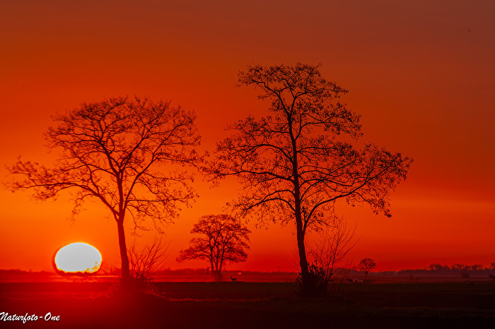 Landschaft, Grandioser Sonnenaufgang