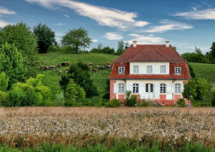 Der Gutsherr, sein Hund und die Schafe