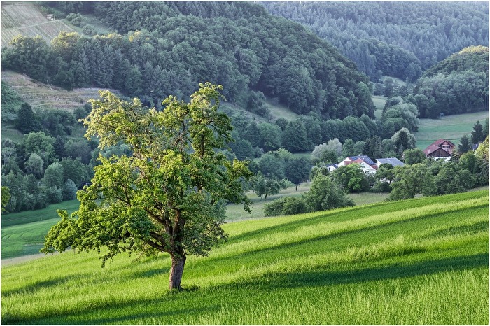 Das Dorf