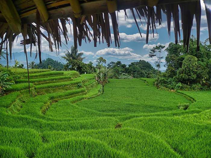 Java