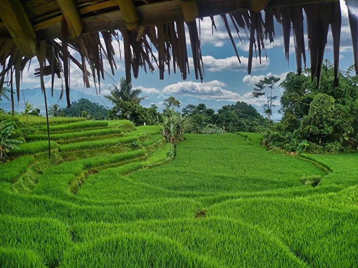 Java
