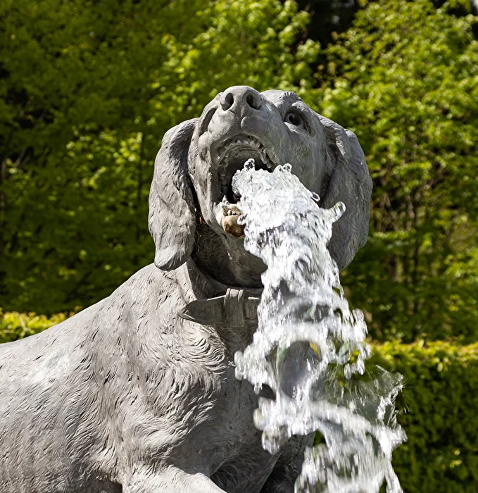 Water from the Mouth