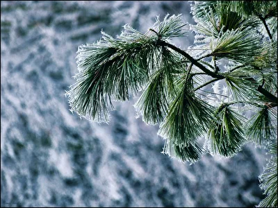 Wintertime
