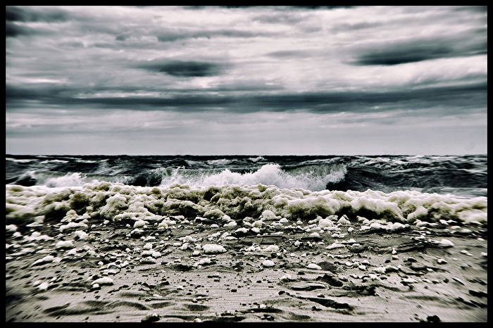 wilde Nordsee