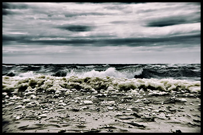 wilde Nordsee