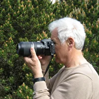 Profilfoto