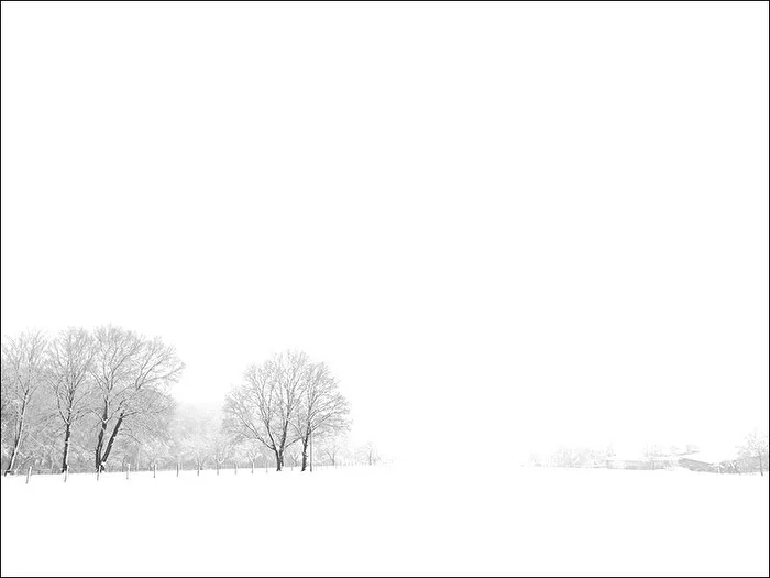 Weiss - Zugescheite Wiese