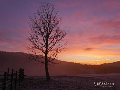 Novembermorgen