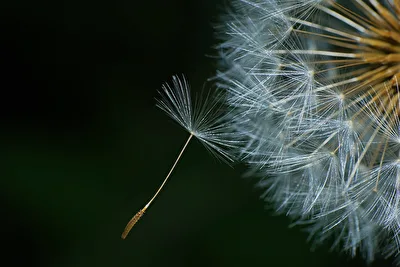ohne Titel