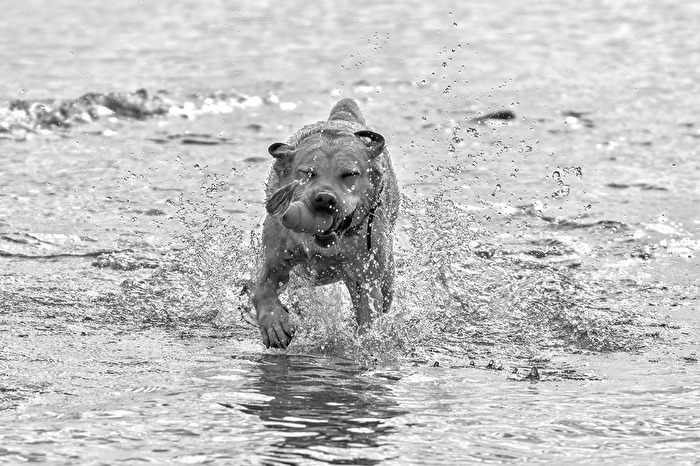 Ganz schön Spritzig...