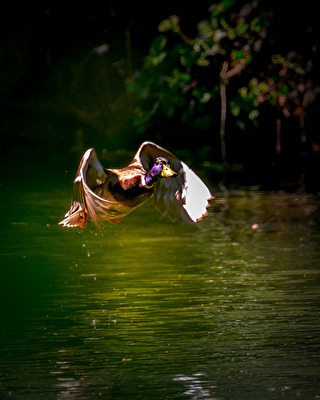 Abflug