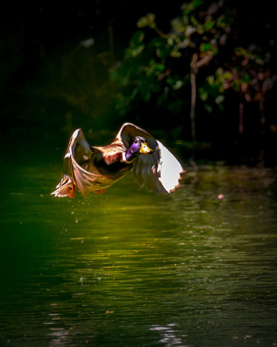 Abflug