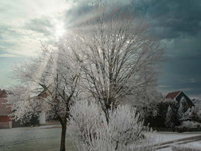 Winter